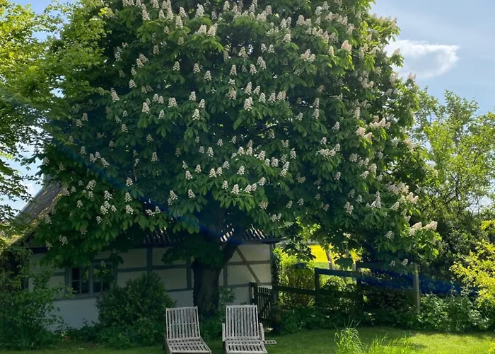 Chestnut Apartamento *