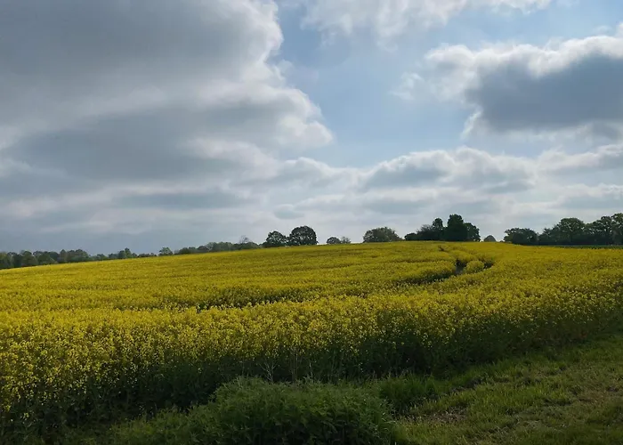 Chestnut Apartamento